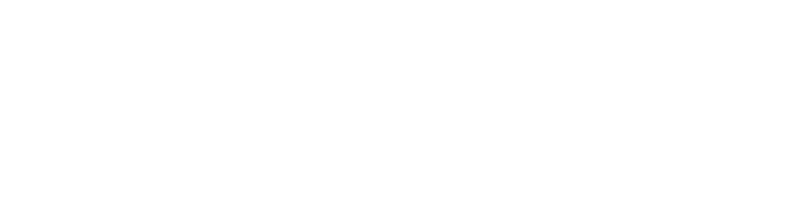 wellselves logo